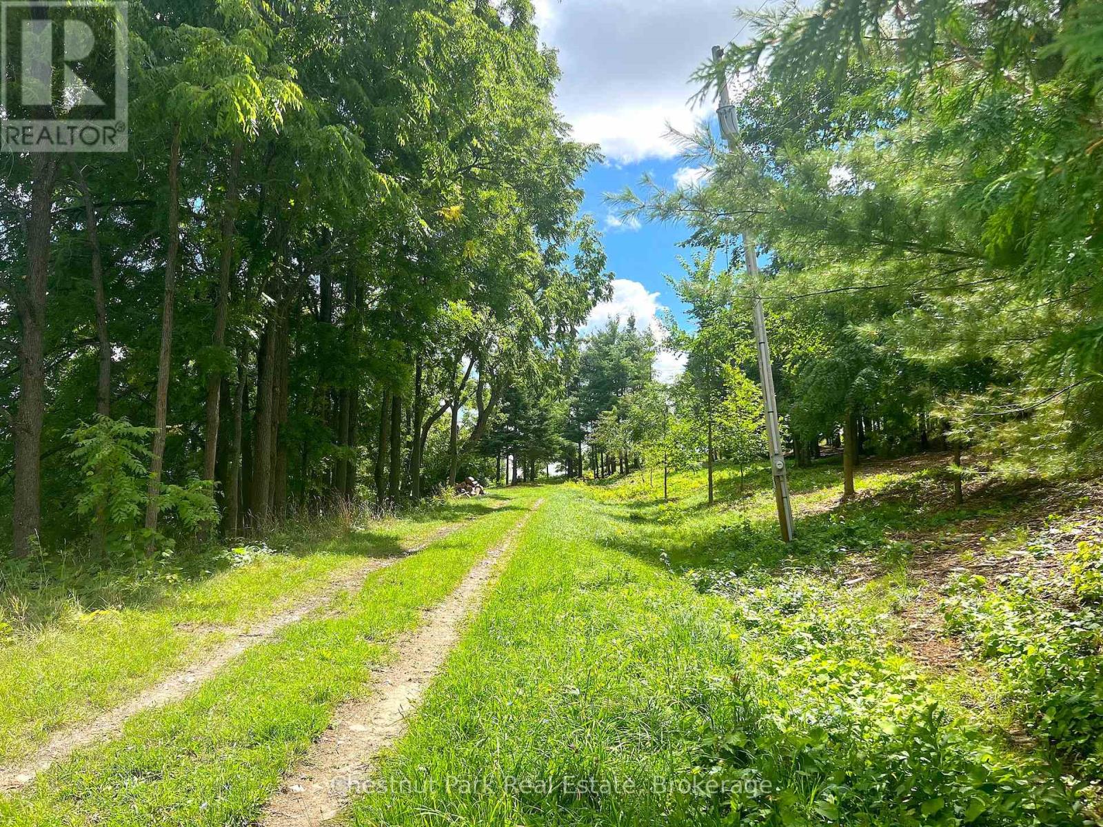 628190 15th Side Road, Mulmur, Ontario  L9V 0T9 - Photo 2 - X13224854