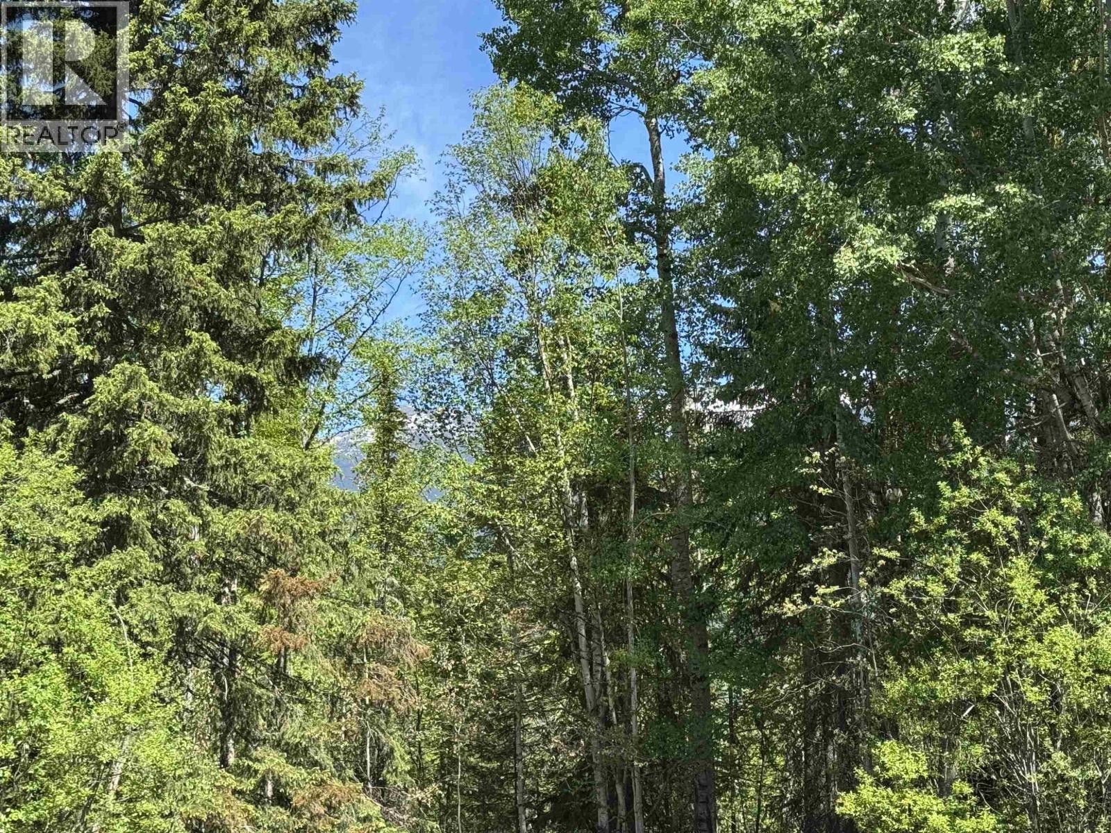 3177 W Westlund Road, Mcbride, British Columbia  V0J 2E0 - Photo 33 - R3130261