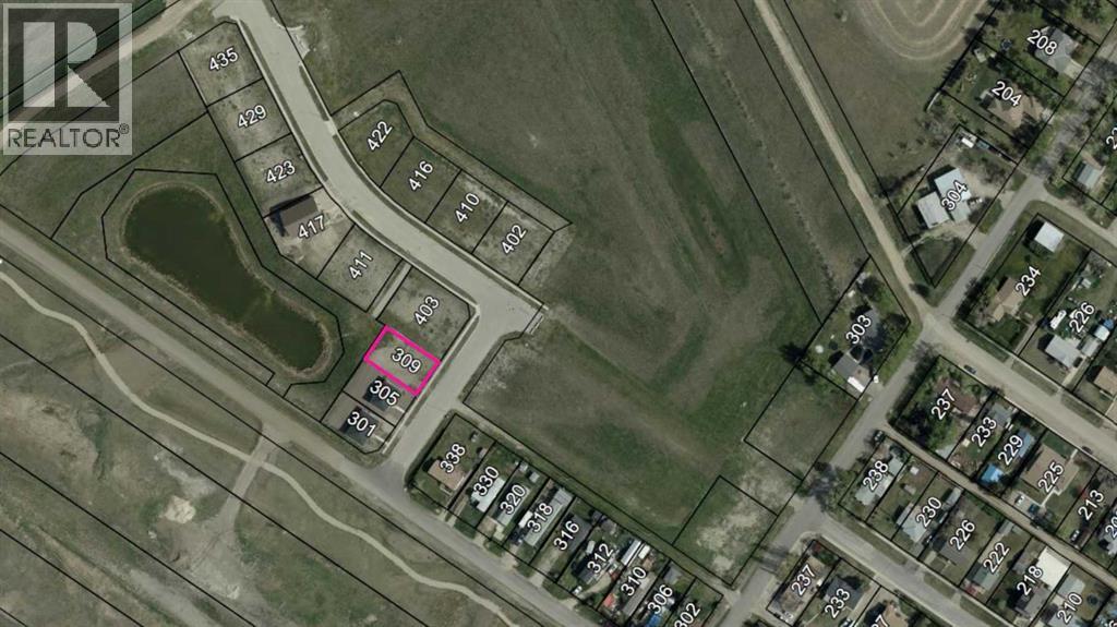 309 3 Street W, Standard, Alberta  T0J 3G0 - Photo 3 - A2296812