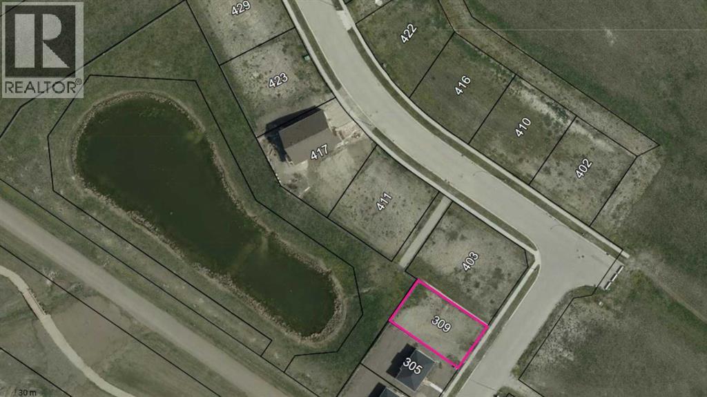 309 3 Street W, Standard, Alberta  T0J 3G0 - Photo 1 - A2296812
