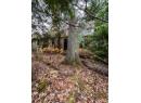 Lot 5 ATBARA, Nelson, BC V1L 6M8
