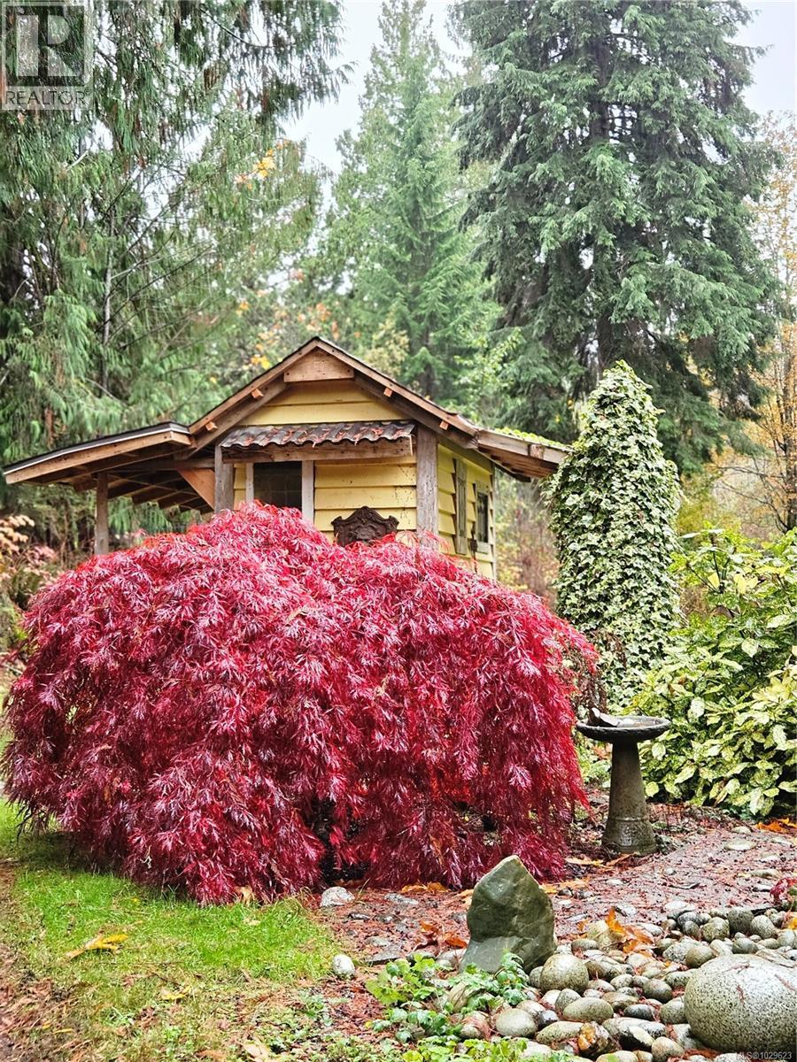 picture 15