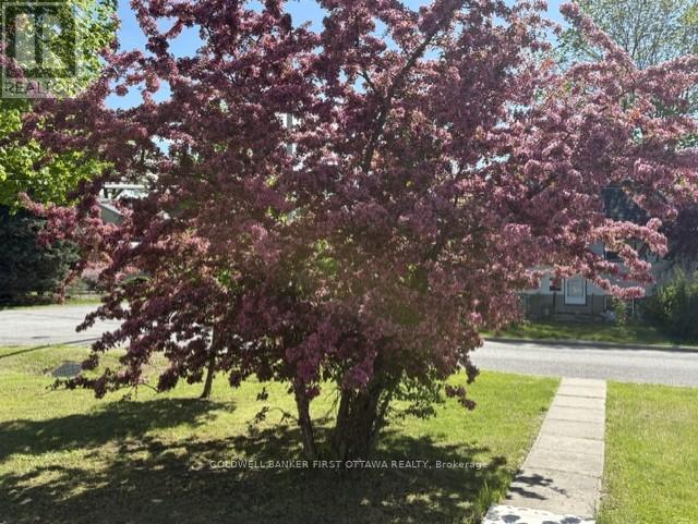 185 Compton Avenue, Ottawa, Ontario K2B 5A6 - Photo 7 - X12956180