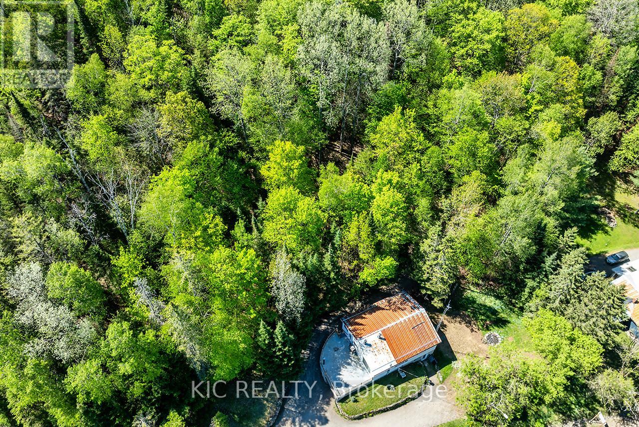 14202 Highway 118 Highway E, Dysart Et Al, Ontario  K0M 1S0 - Photo 8 - X12822620
