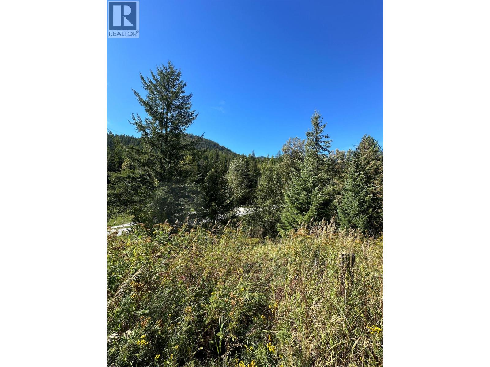 3923 Old Red Mountain Road, Rossland, British Columbia  V0G 1Y0 - Photo 4 - 10389695