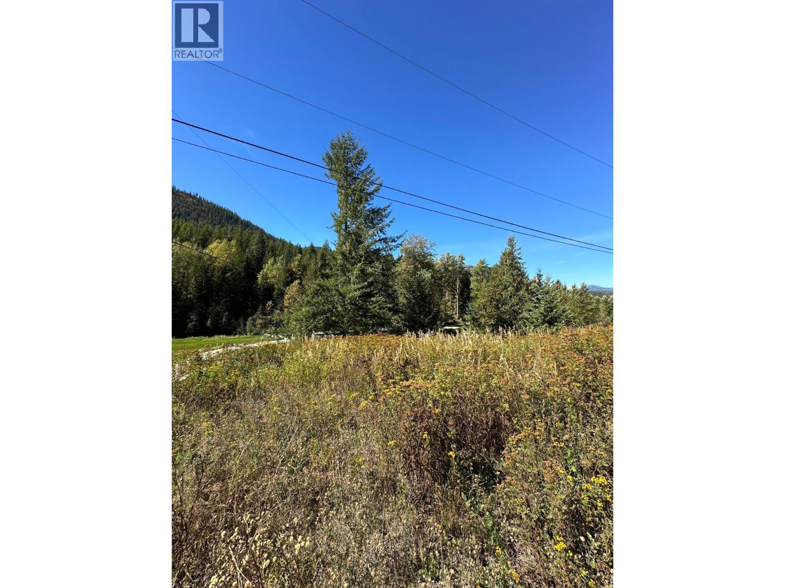 3923 Old Red Mountain Road, Rossland, British Columbia  V0G 1Y0 - Photo 5 - 10389695
