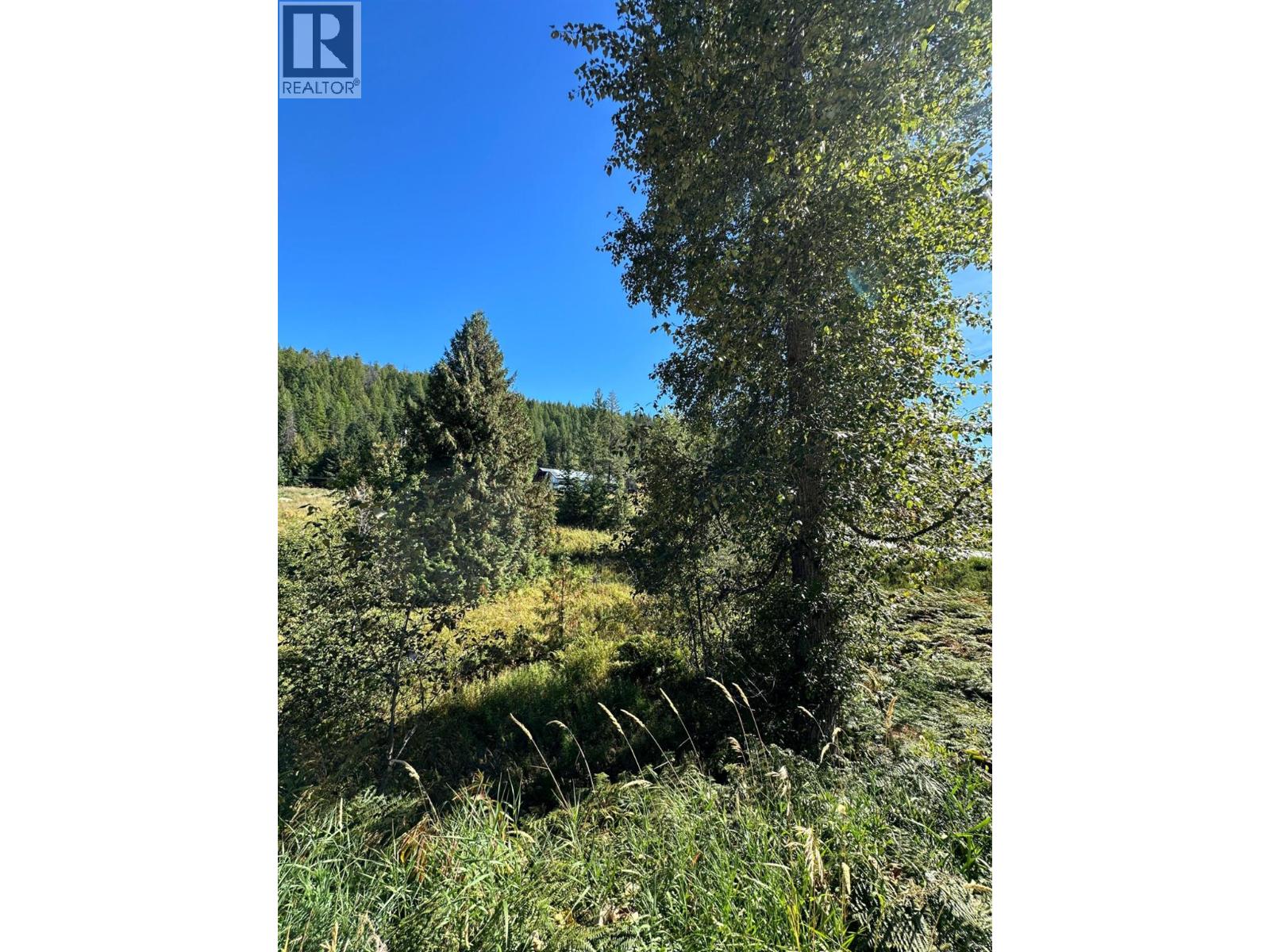 3923 Old Red Mountain Road, Rossland, British Columbia  V0G 1Y0 - Photo 6 - 10389695