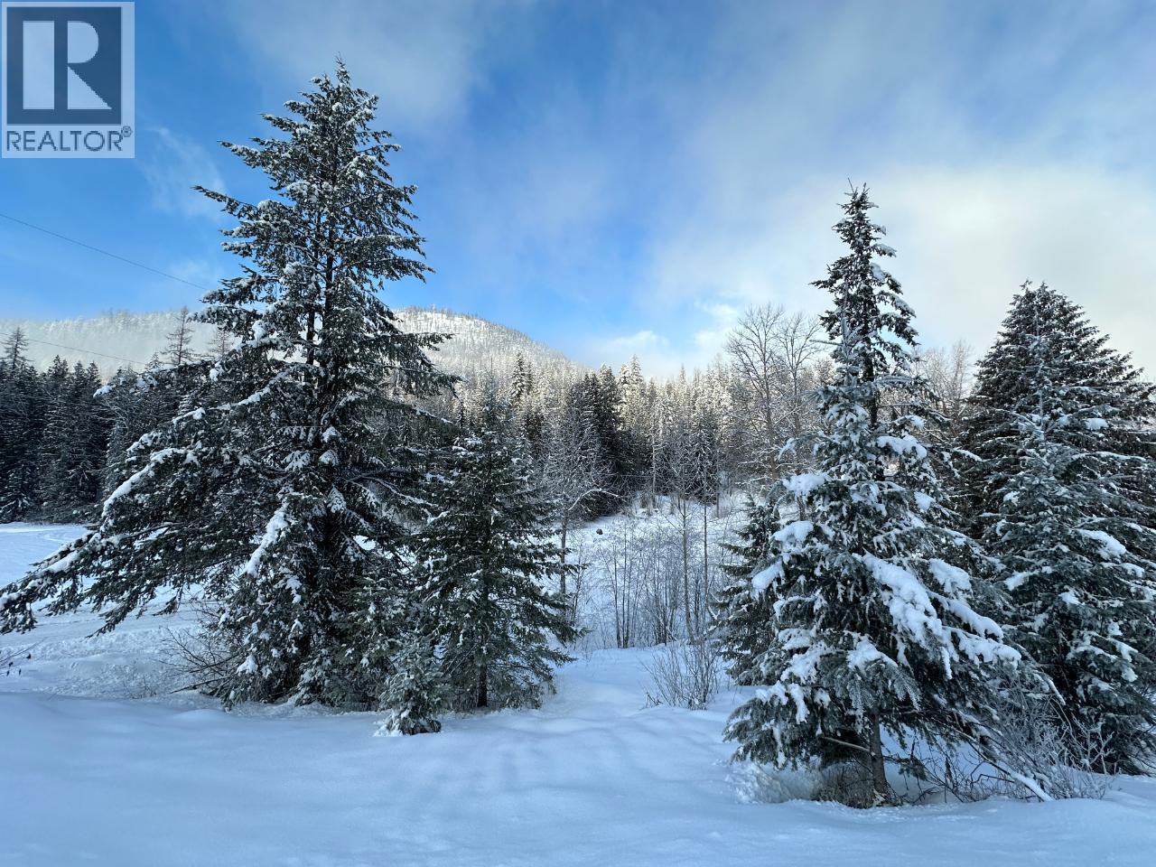 3923 Old Red Mountain Road, Rossland, British Columbia  V0G 1Y0 - Photo 8 - 10389695