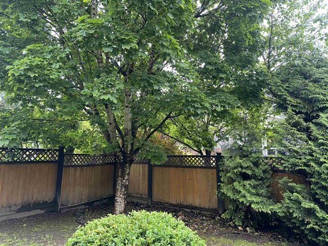 20850 84a Avenue, Langley, British Columbia  V2Y 0A4 - Photo 20 - R3130119