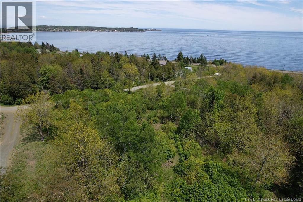 Wellington Drive, Grand Manan, New Brunswick  E5G 1M8 - Photo 5 - NB132240