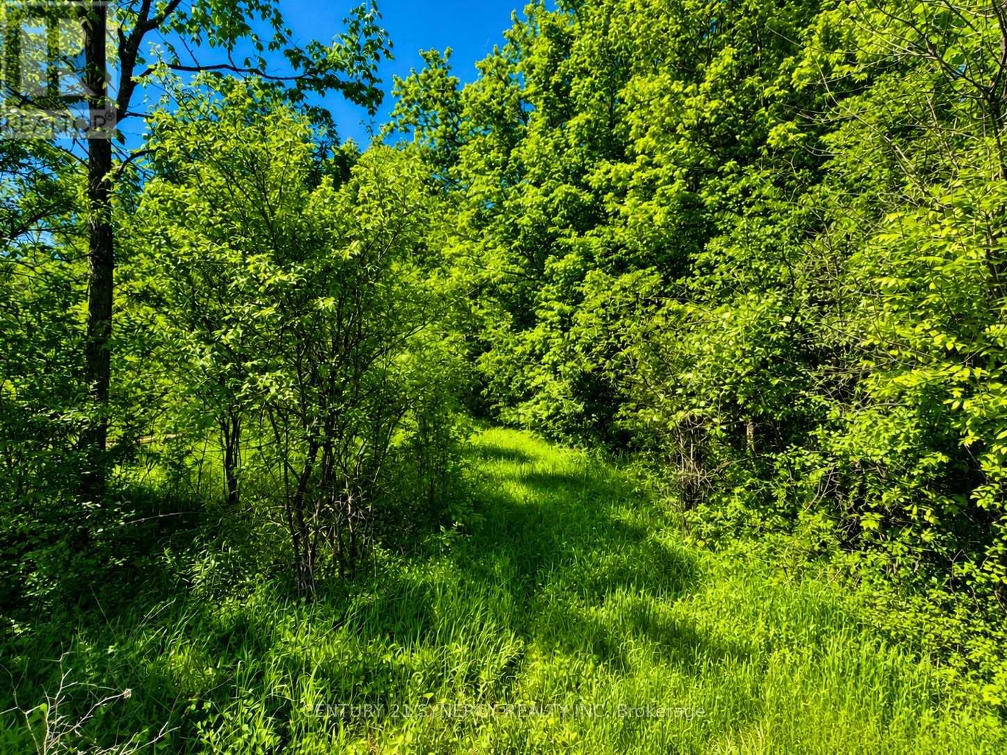 00 Frizell Road, Drummond/north Elmsley, Ontario K7H 3C7 - Photo 10 - X13225674