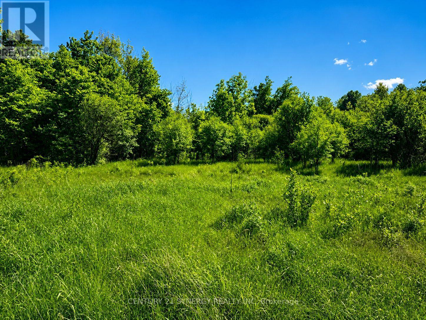 00 Frizell Road, Drummond/north Elmsley, Ontario K7H 3C7 - Photo 9 - X13225674