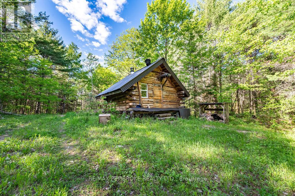 263 Walsh's Road, North Algona Wilberforce, Ontario K8A 6W4 - Photo 38 - X13225766