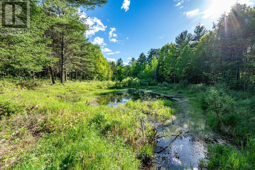 263 Walsh's Road, North Algona Wilberforce, Ontario K8A 6W4 - Photo 40 - X13225766