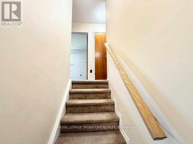 77 Porterfield Road, Toronto, Ontario  M9W 3J7 - Photo 8 - W13225752