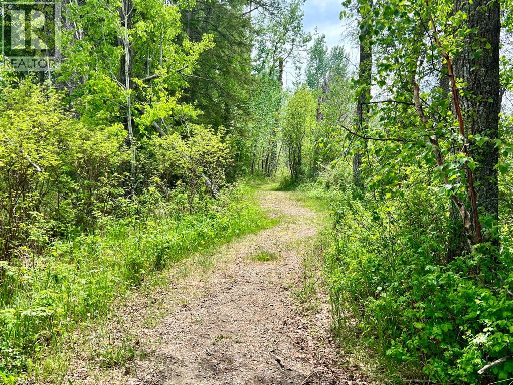 201, 62002 Twp Rd 462a, Buck Lake, Alberta  T0C 0T0 - Photo 15 - A2316098