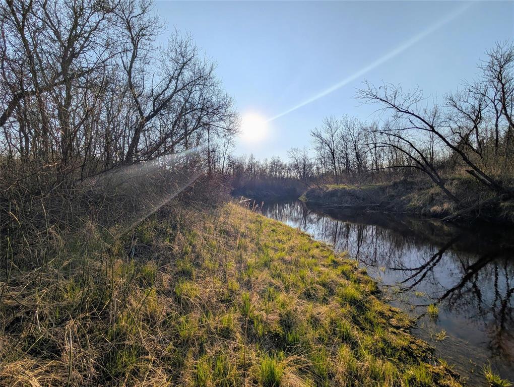 1 Boggy River Road, East Braintree, Manitoba  R0E 0L0 - Photo 0 - 202612430