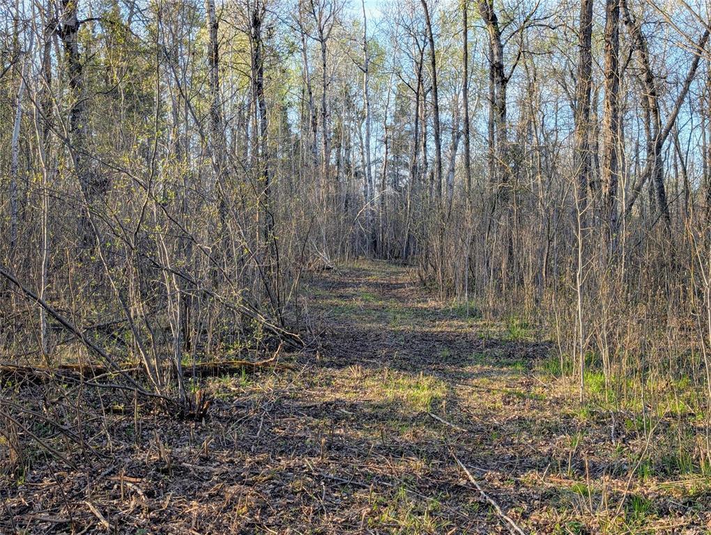1 Boggy River Road, East Braintree, Manitoba  R0E 0L0 - Photo 10 - 202612430
