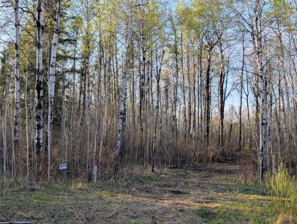 1 Boggy River Road, East Braintree, Manitoba  R0E 0L0 - Photo 11 - 202612430
