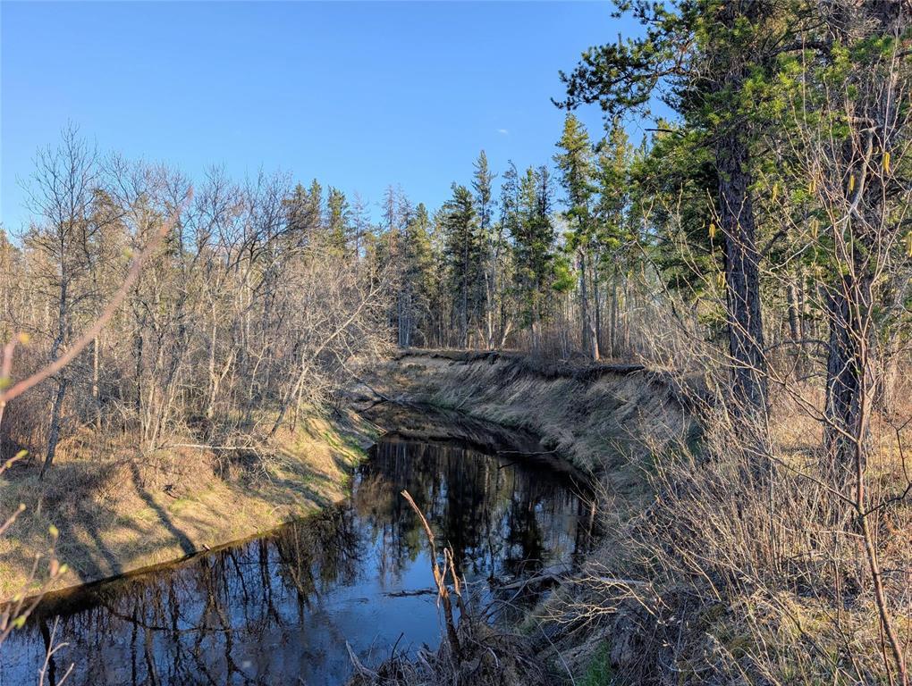 1 Boggy River Road, East Braintree, Manitoba  R0E 0L0 - Photo 2 - 202612430