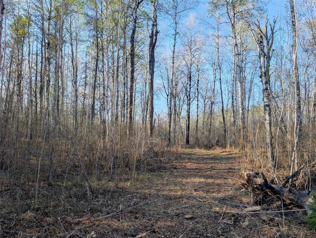 1 Boggy River Road, East Braintree, Manitoba  R0E 0L0 - Photo 3 - 202612430