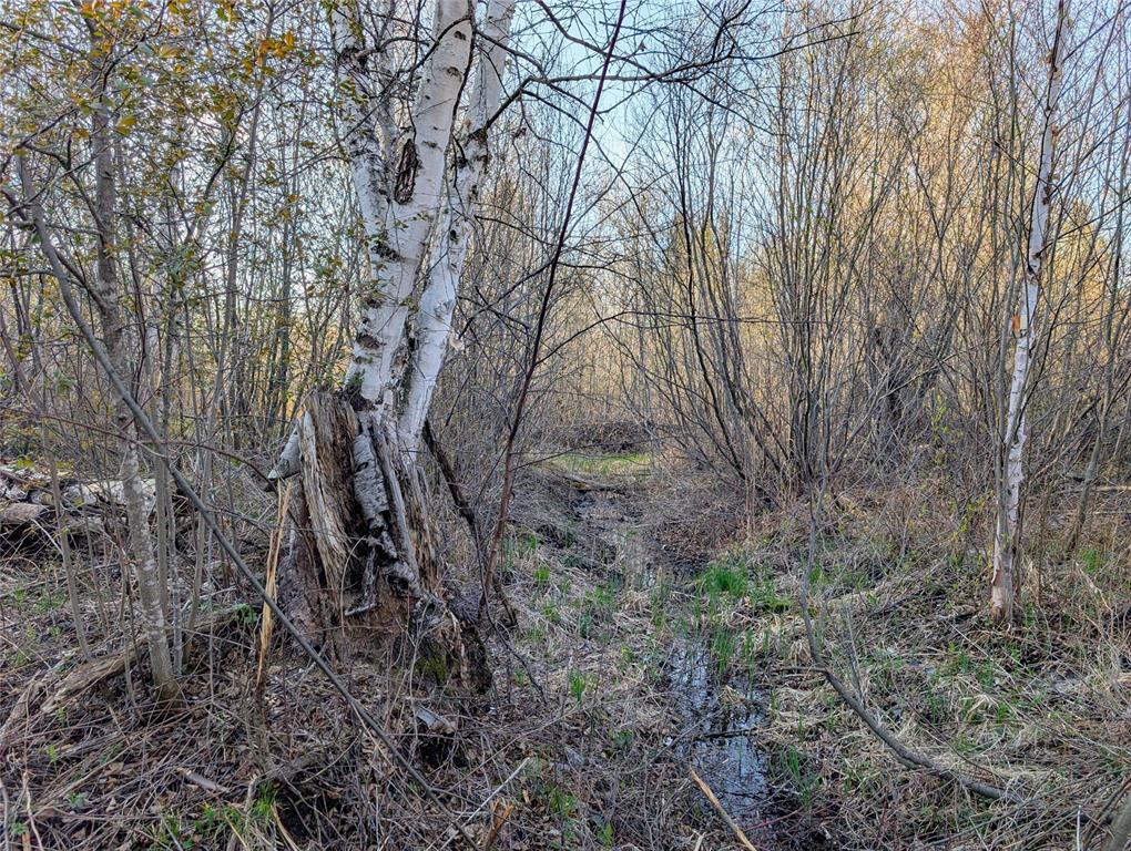 1 Boggy River Road, East Braintree, Manitoba  R0E 0L0 - Photo 4 - 202612430