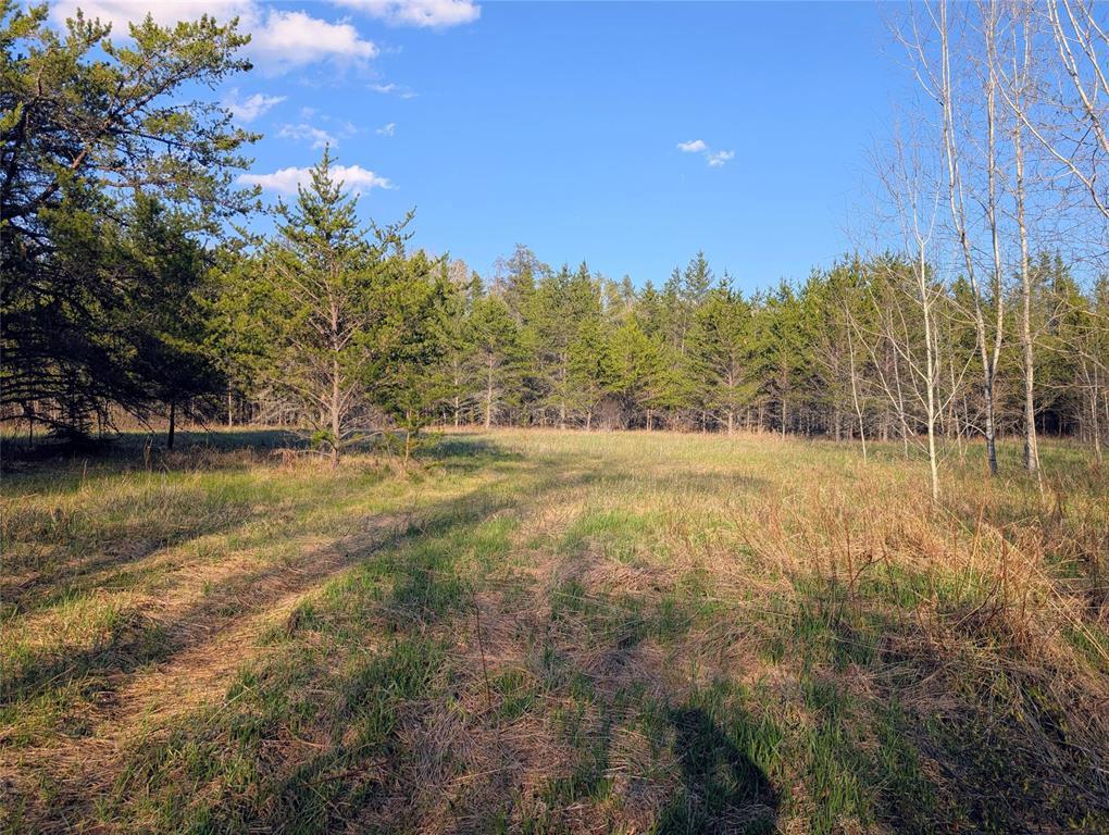1 Boggy River Road, East Braintree, Manitoba  R0E 0L0 - Photo 5 - 202612430