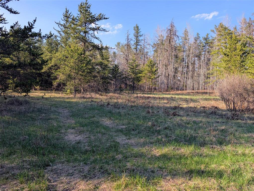 1 Boggy River Road, East Braintree, Manitoba  R0E 0L0 - Photo 6 - 202612430