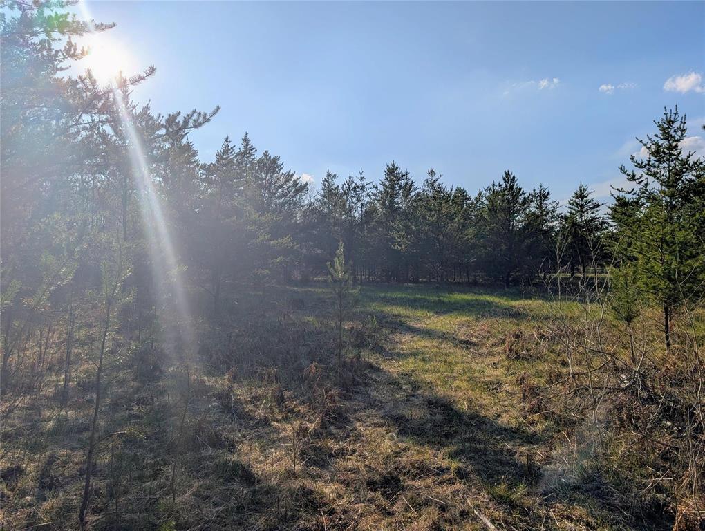 1 Boggy River Road, East Braintree, Manitoba  R0E 0L0 - Photo 7 - 202612430