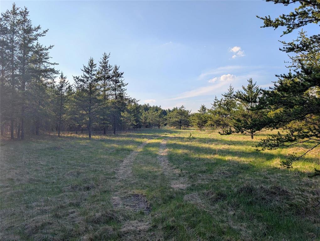 1 Boggy River Road, East Braintree, Manitoba  R0E 0L0 - Photo 8 - 202612430