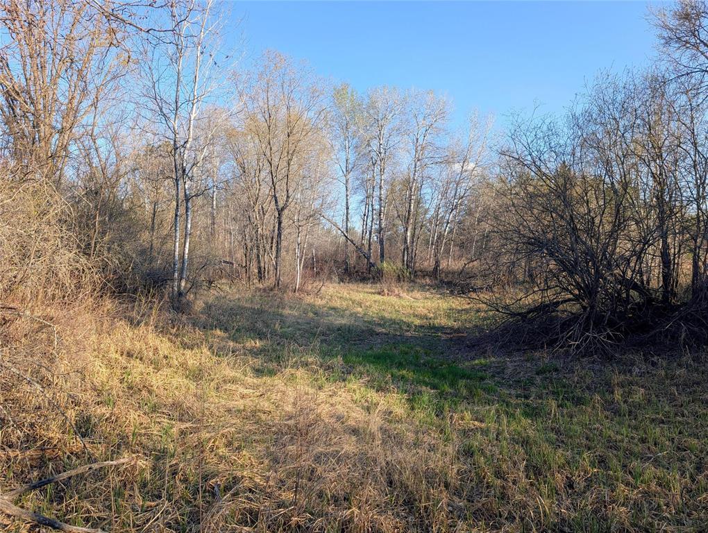 1 Boggy River Road, East Braintree, Manitoba  R0E 0L0 - Photo 9 - 202612430