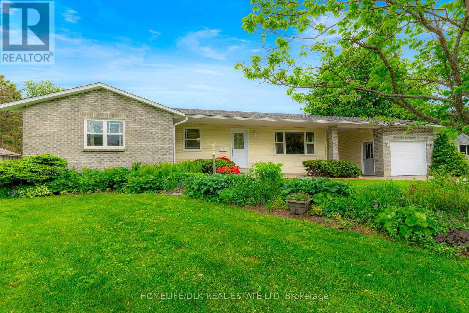 picture 0