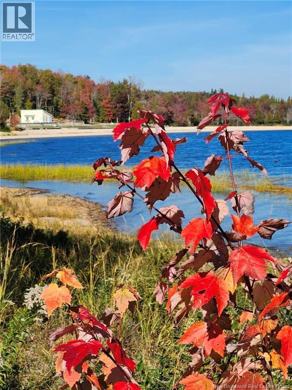 101 Maxwell Road, Canal, New Brunswick  E5C 1K2 - Photo 33 - NB140298