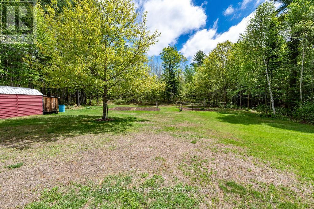 393 Portage Road, Petawawa, Ontario  K8A 2W8 - Photo 9 - X13226348