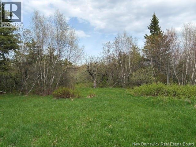 Woodlot Silvertown Road, Grangeville, New Brunswick