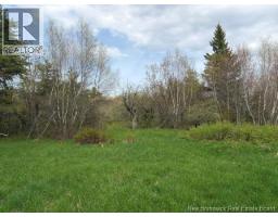 Woodlot Silvertown Road, Grangeville, New Brunswick