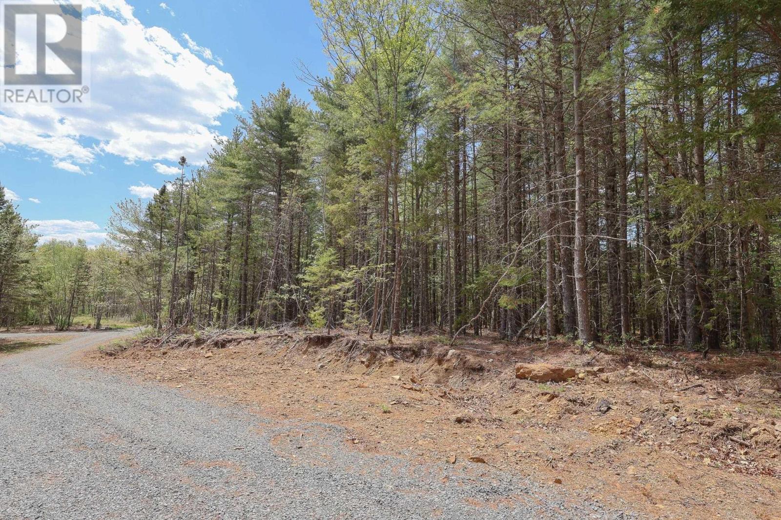 Lot 101 Cleversey Ridge Park, Fauxburg, Nova Scotia  B0J 2C0 - Photo 4 - 202612913