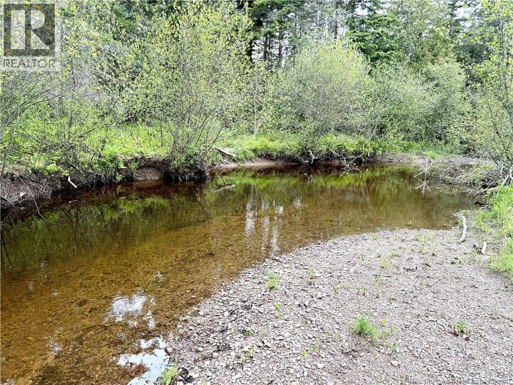 49 Route 845, Lower Norton, New Brunswick  E5N 7T3 - Photo 40 - NB140718