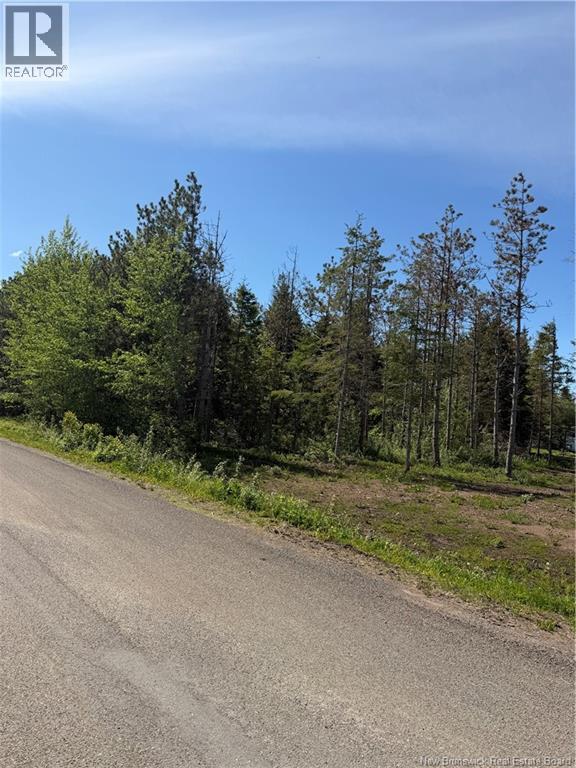 Lot Cody Road, Boundary Creek, New Brunswick  E1G 3X1 - Photo 1 - NB140817