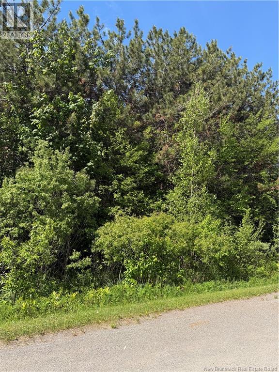 Lot Cody Road, Boundary Creek, New Brunswick  E1G 3X1 - Photo 2 - NB140817
