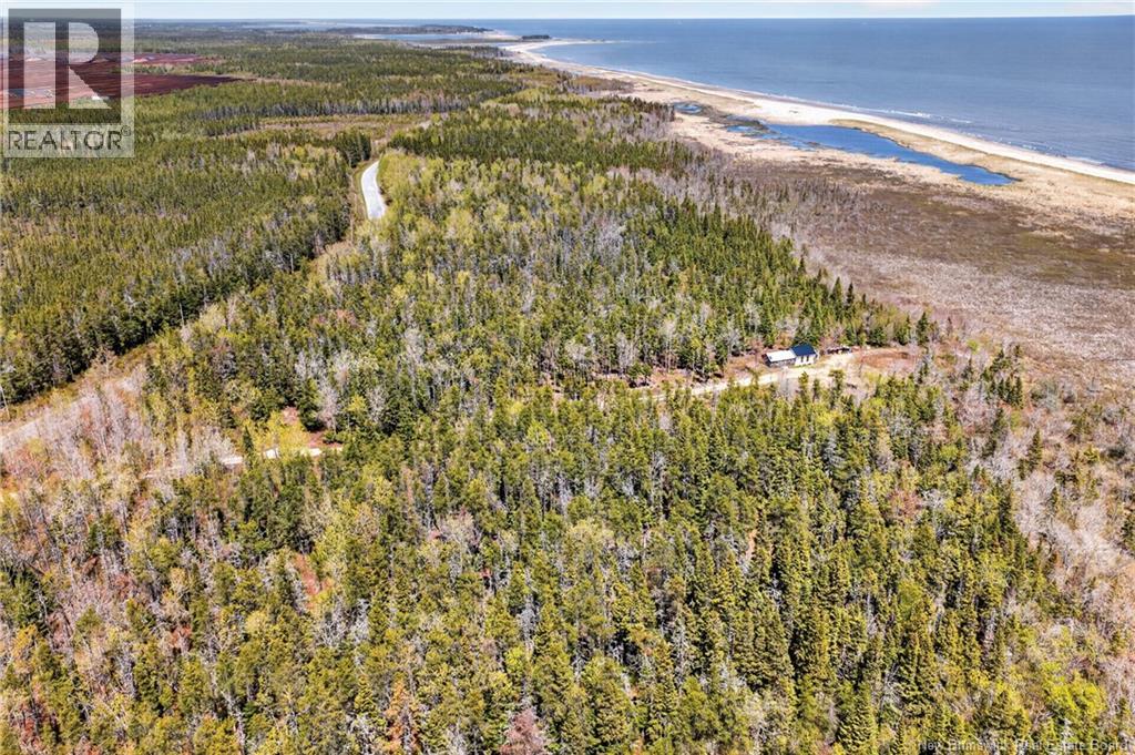 7.1 Acres Chemin De La Cedrière, Rivière-Du-Portage, New Brunswick  E9H 1T9 - Photo 21 - NB139309