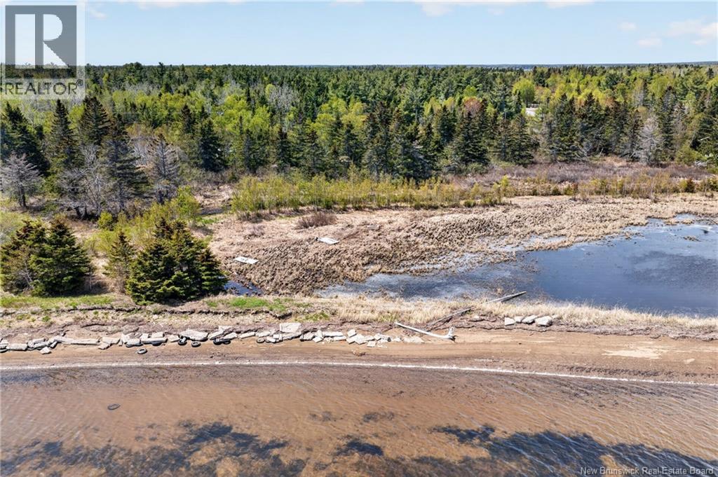 3.36 Acres Rue De L'outarde, Pointe-Des-Robichaud, New Brunswick  E1X 4G7 - Photo 10 - NB140557