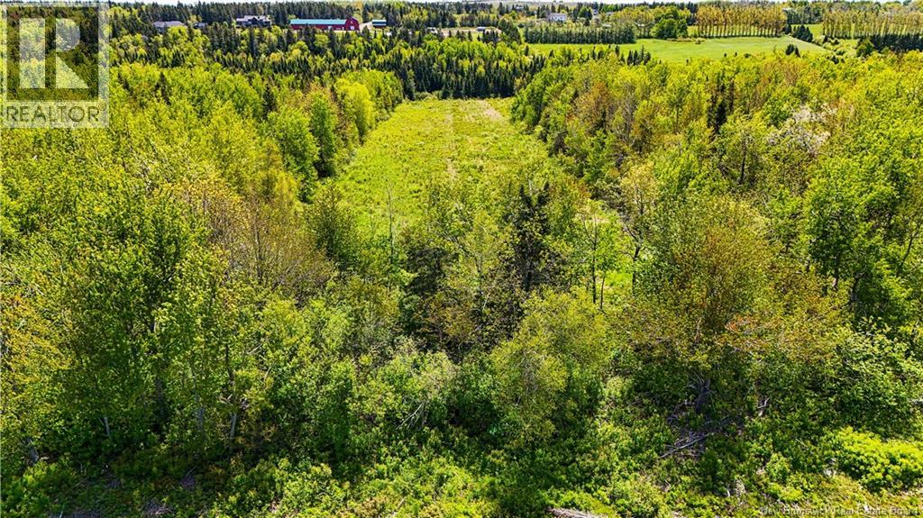 Land Crossman Hills Road, Stilesville, New Brunswick  E1G 3C4 - Photo 8 - NB140452