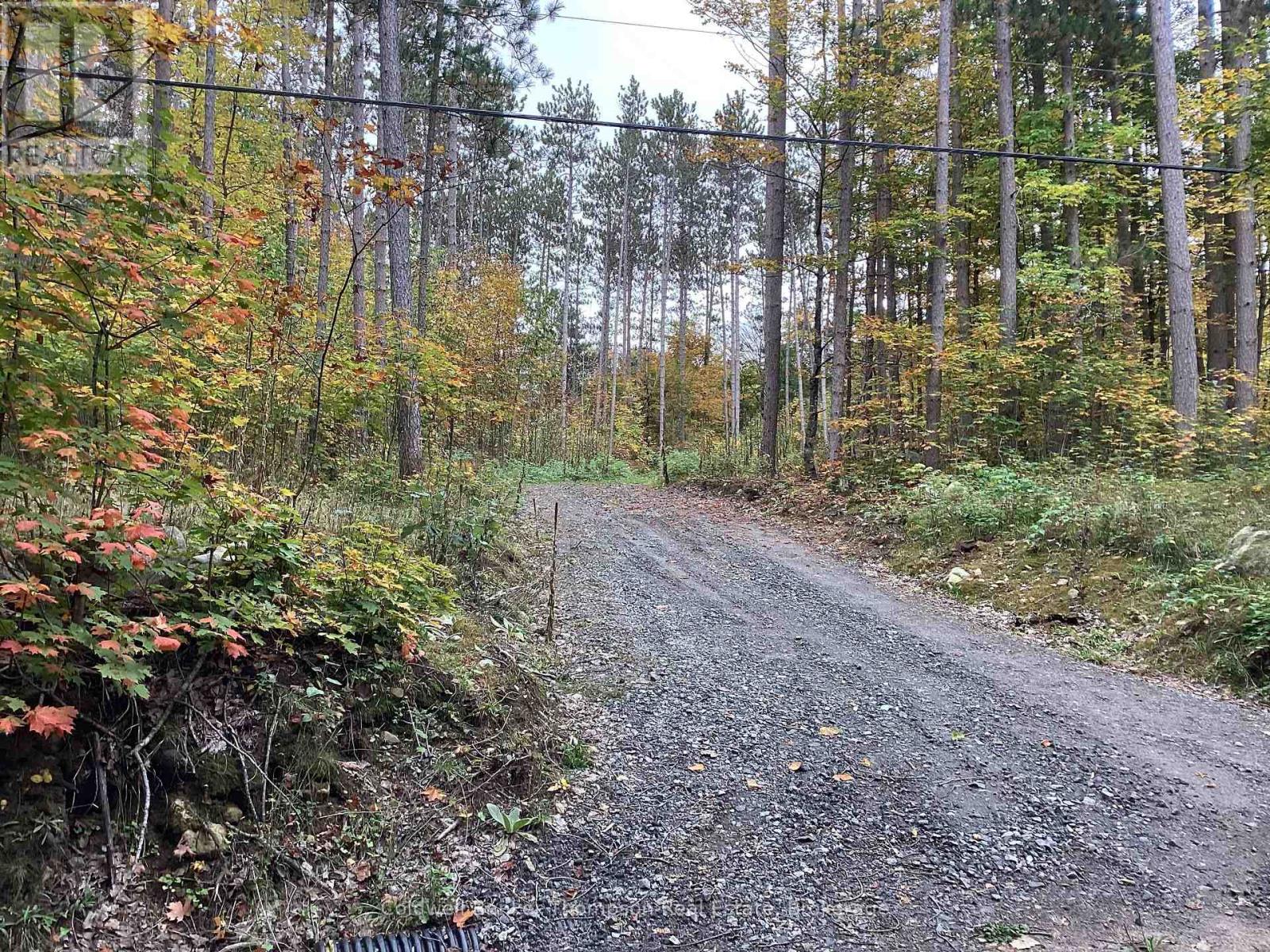 4 Snowshoe Lane, Armour, Ontario P0A 1L0 - Photo 3 - X13227184