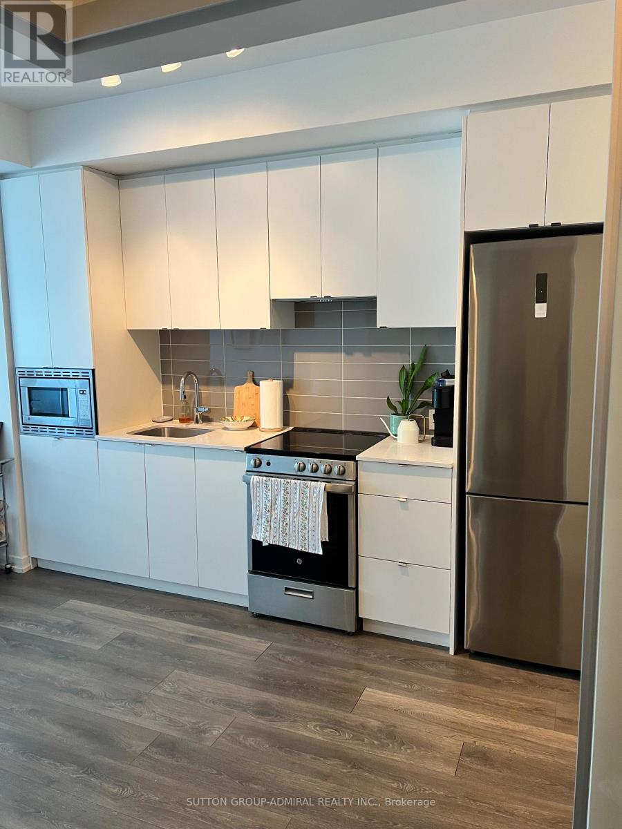 2008 - 49 East Liberty Street, Toronto, Ontario  M6K 0B2 - Photo 7 - C13226896