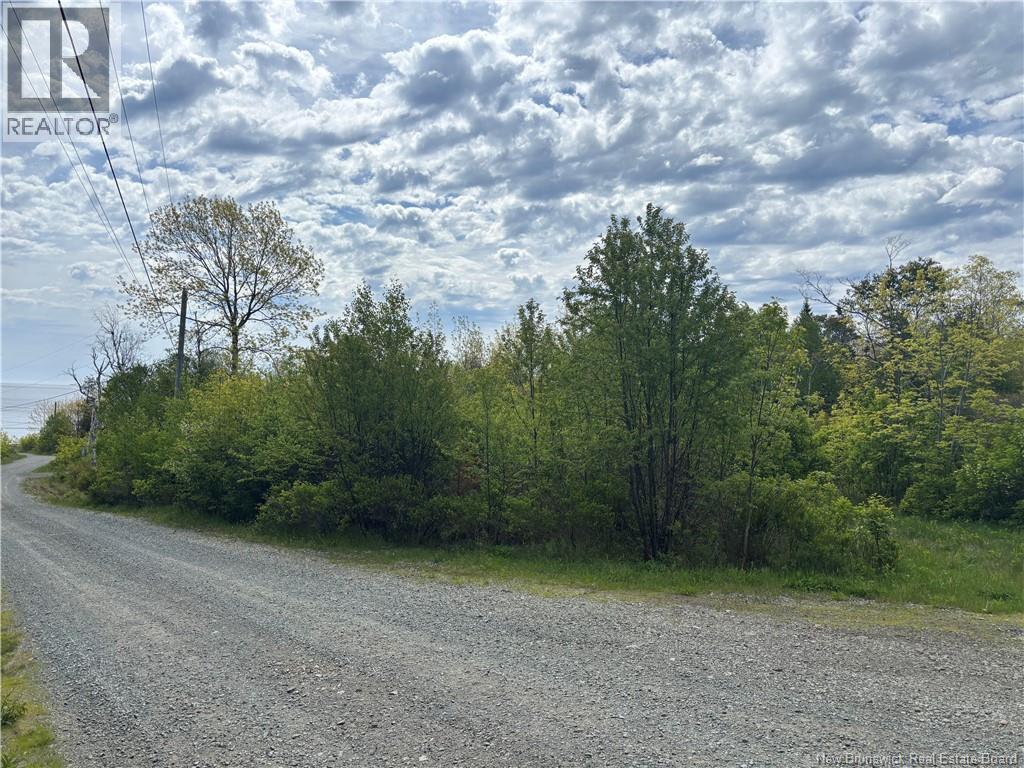 Wellington Drive, Grand Manan, New Brunswick  E5G 1M8 - Photo 9 - NB132240