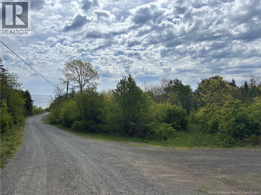 Wellington Drive, Grand Manan, New Brunswick  E5G 1M8 - Photo 8 - NB132240