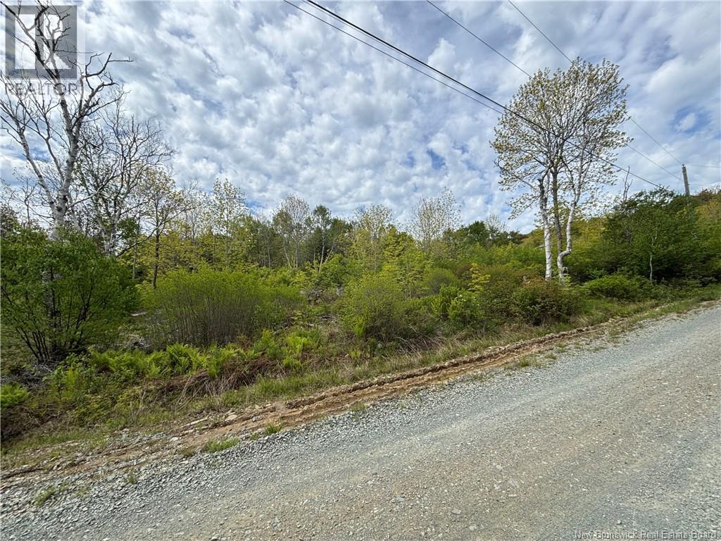 Wellington Drive, Grand Manan, New Brunswick  E5G 1M8 - Photo 6 - NB132240