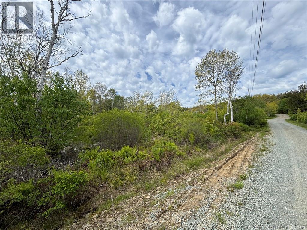 Wellington Drive, Grand Manan, New Brunswick  E5G 1M8 - Photo 7 - NB132240