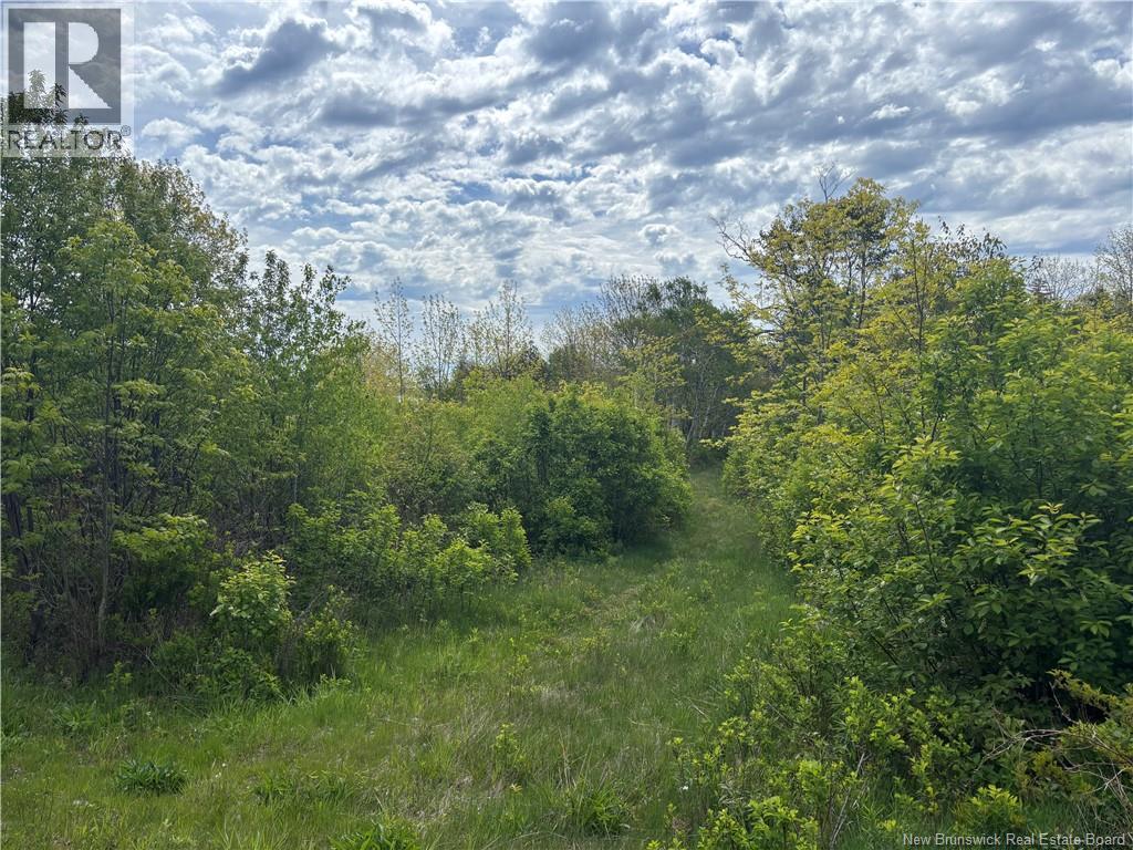 Wellington Drive, Grand Manan, New Brunswick  E5G 1M8 - Photo 10 - NB132240